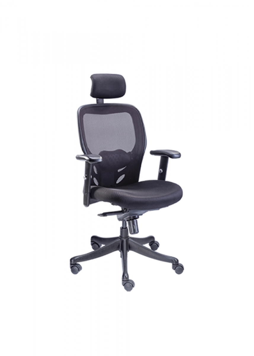 NLF 205